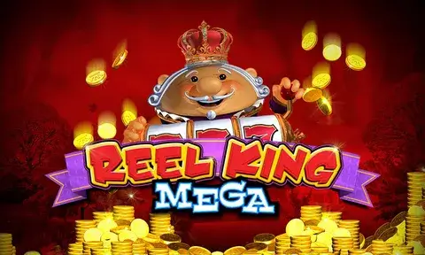 55rr Mega Reels